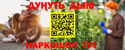 индика Нальчик