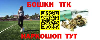 индика Нальчик