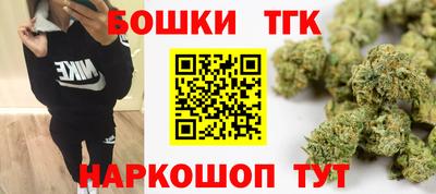 индика Нальчик