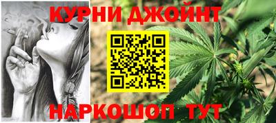 индика Нальчик