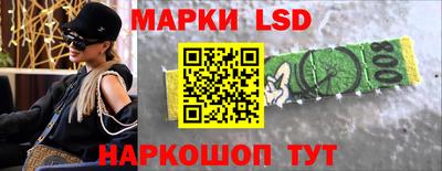 индика Нальчик
