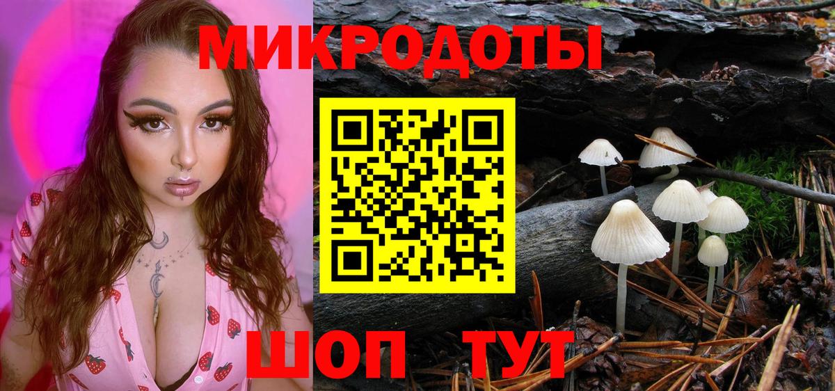Славянск-на-Кубани  Псилоцибиновые грибы ЛСД  Вход с VPN 